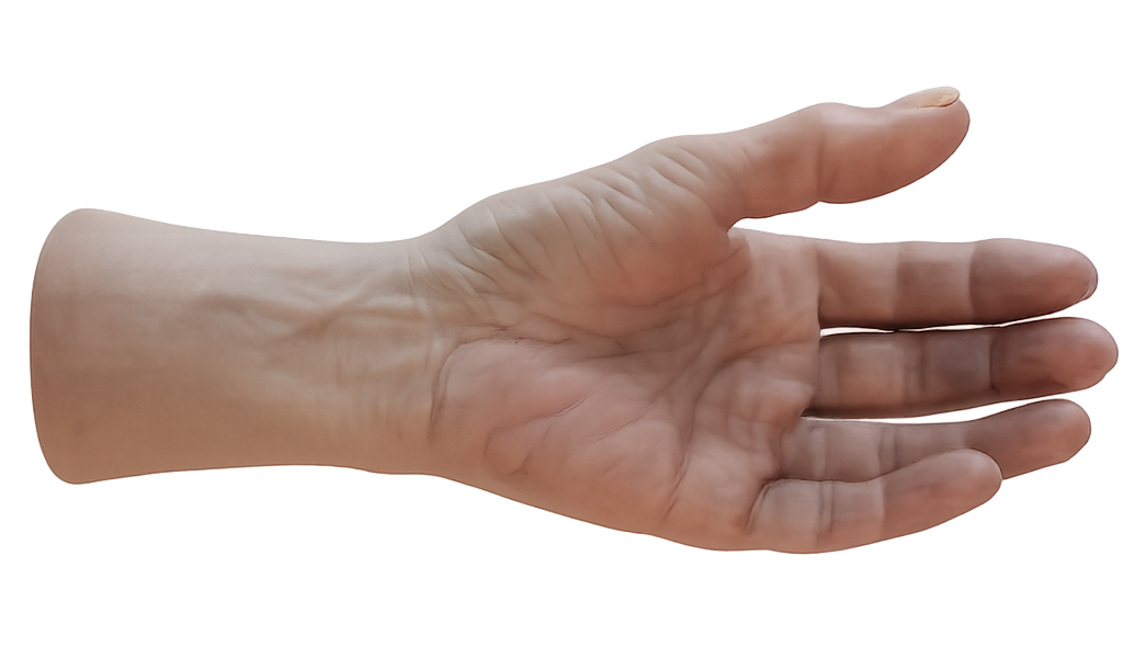 mano protesica presentazione